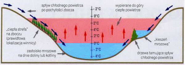 Wpływ zbiornika wodnego na temperaturę otoczenia